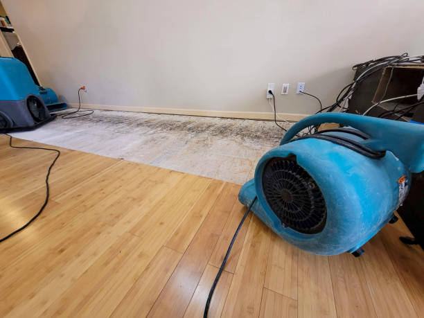 Professional Water Removal technician working in Deer Park, TX